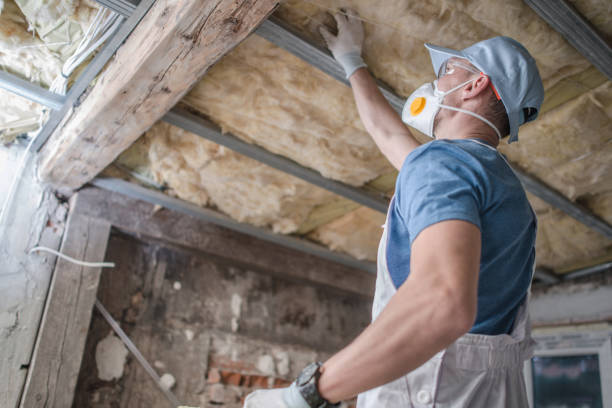 Best Energy Efficiency Insulation in Sweetwater, TN